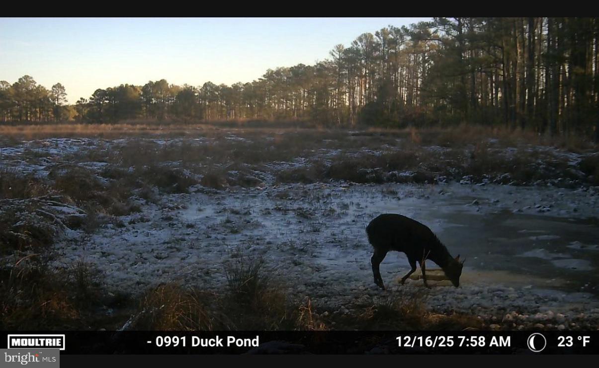 NONE AVAILABLE - Land