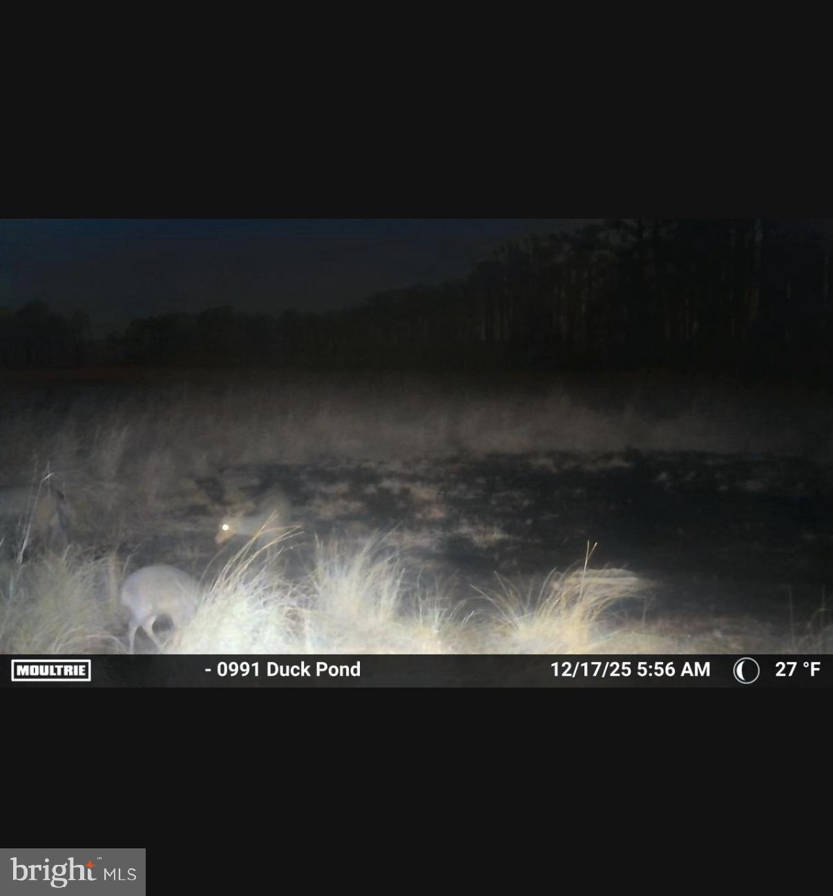 NONE AVAILABLE - Land