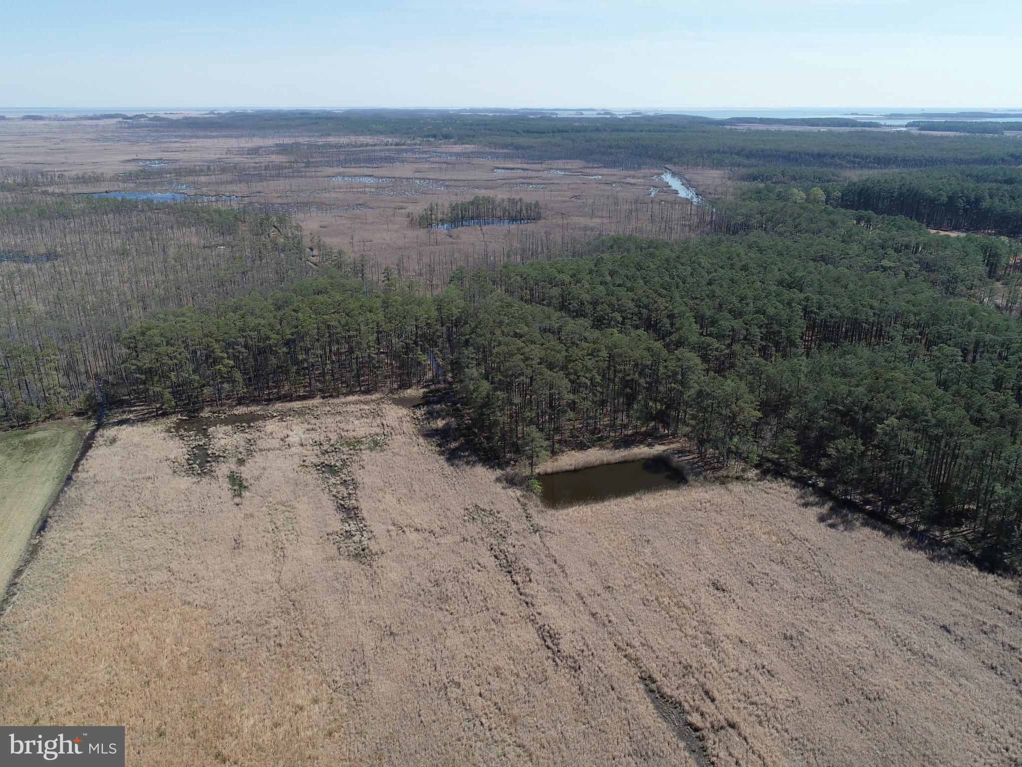 NONE AVAILABLE - Land