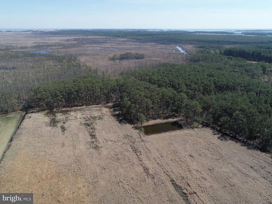 Hunters Haven! The perfect blend of recreation and opportunity with this 16-acre hunting property. Featuring a versatile large agricultural field,  a blank canvas to make it your own, strategically plant food plots or the back right corner is an ideal location for a future impoundment to attract and sustain wildlife.

This property has a little bit of everything for outdoor enthusiasts, offering excellent hunting for sika deer, whitetail deer, waterfowl, and turkeys along with some pond fishing. The diverse habitat and open field create ideal conditions for both seasoned hunters and those looking to establish a private retreat.

An older mobile home currently sits on the property and is considered a tear-down, but it provides a valuable head start with existing infrastructure. Electric service is active, and there is an existing septic system on site (condition unknown), offering potential for future building or campsite development.

Whether you're looking to create your own hunting getaway, invest in recreational land, or develop a rural homestead, this property offers a unique opportunity with plenty of potential.