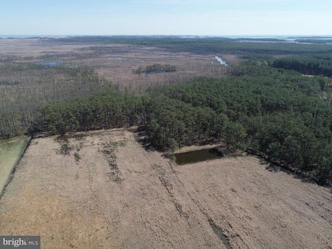 2839 LAKESVILLE CRAPO ROAD CHURCH CREEK MD 21622