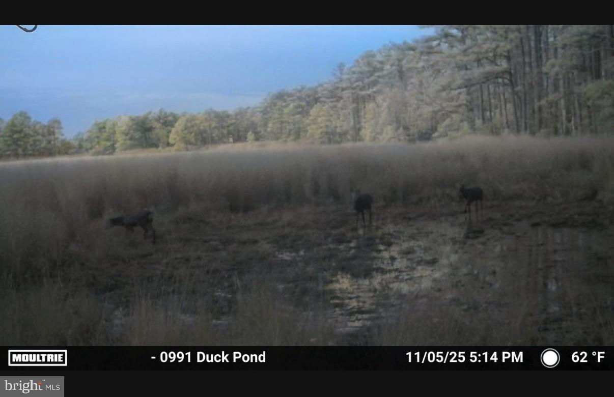 NONE AVAILABLE - Land