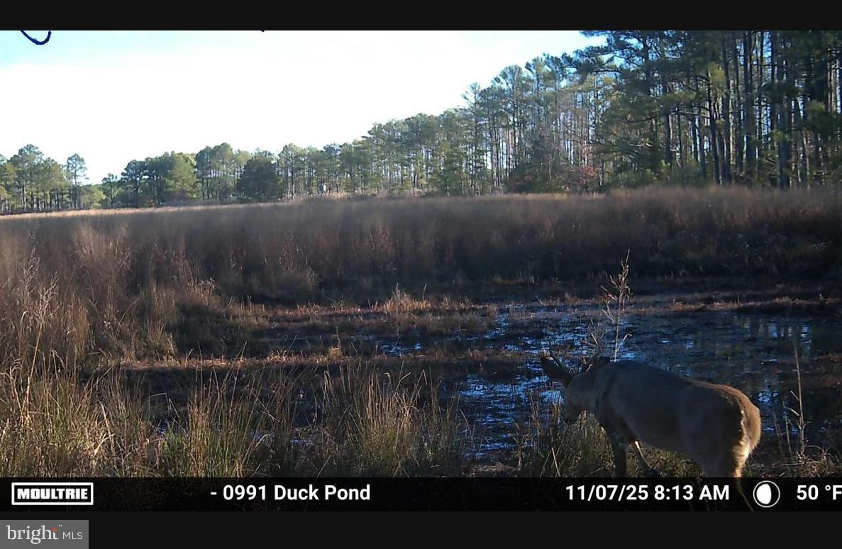 2839 LAKESVILLE CRAPO ROAD