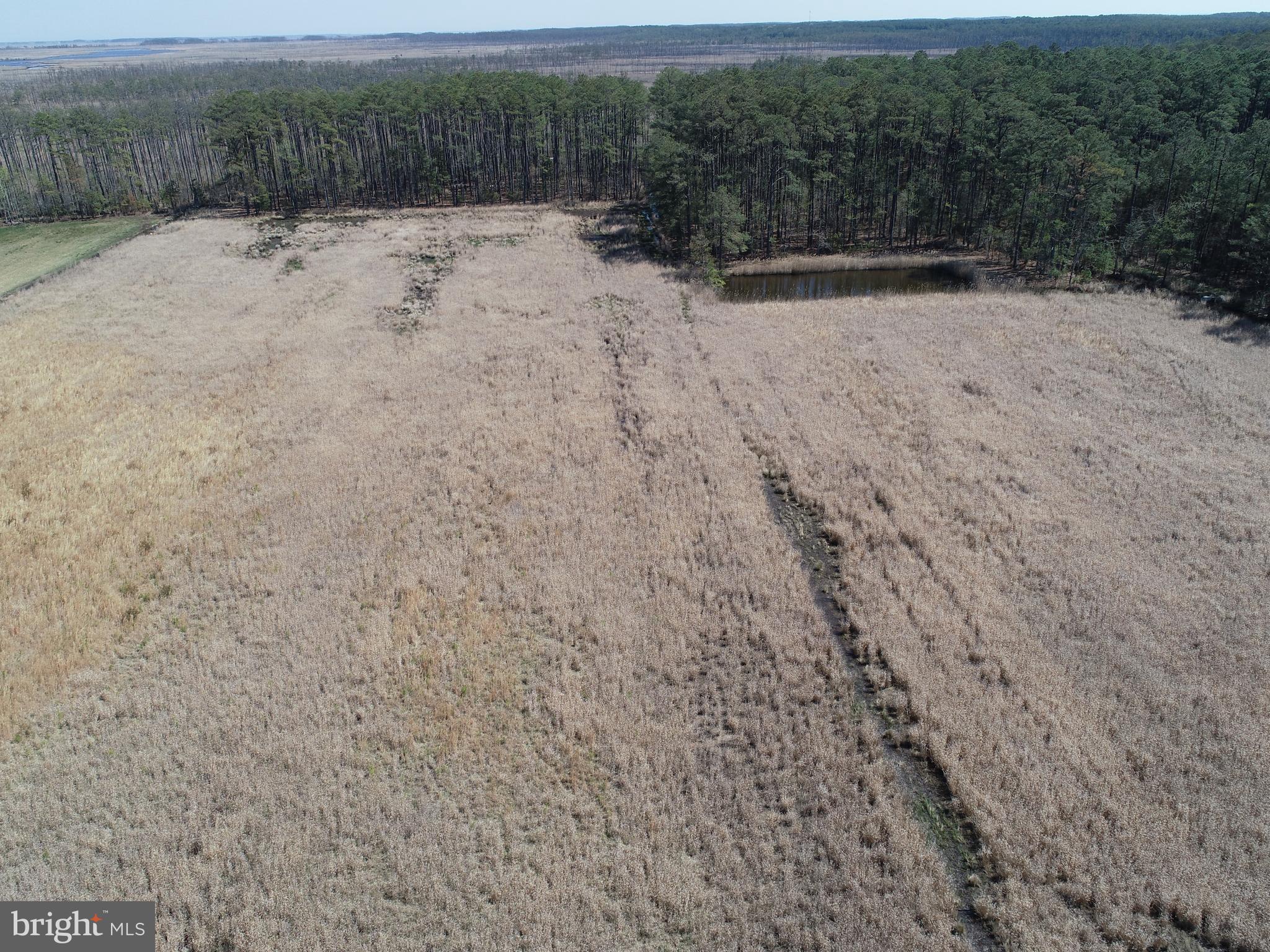 NONE AVAILABLE - Land