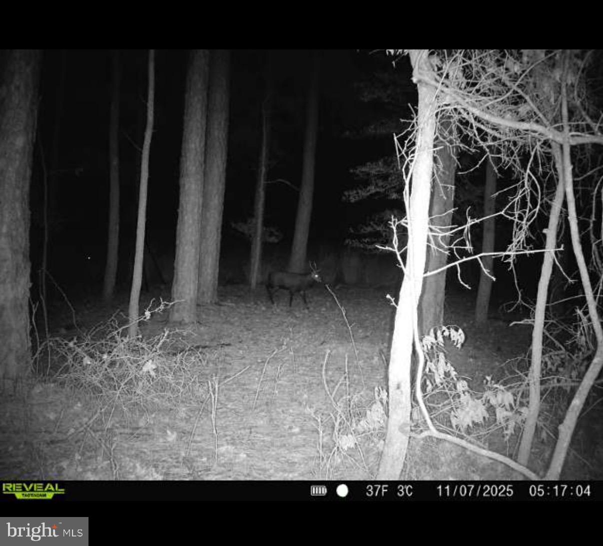 NONE AVAILABLE - Land