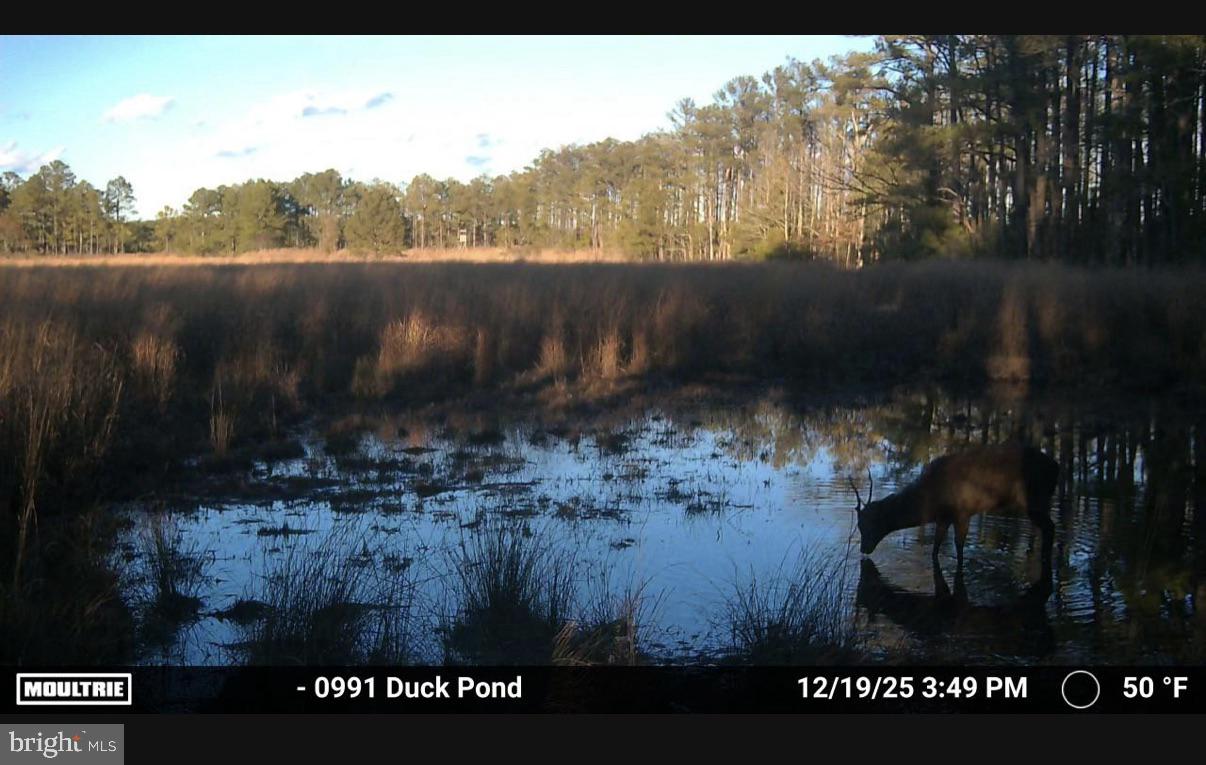 NONE AVAILABLE - Land