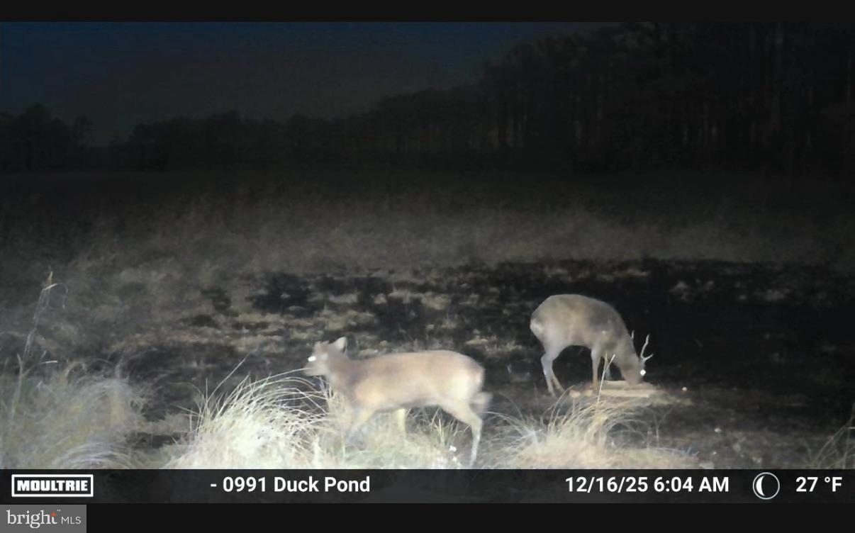 NONE AVAILABLE - Land