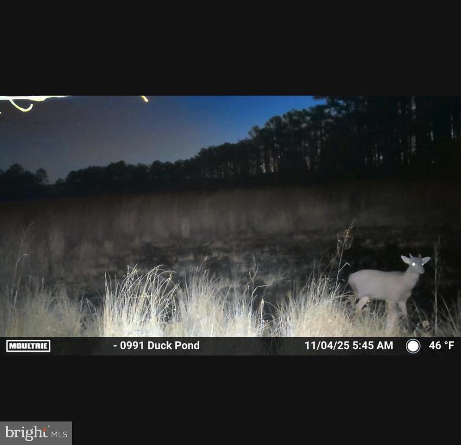 NONE AVAILABLE - Land