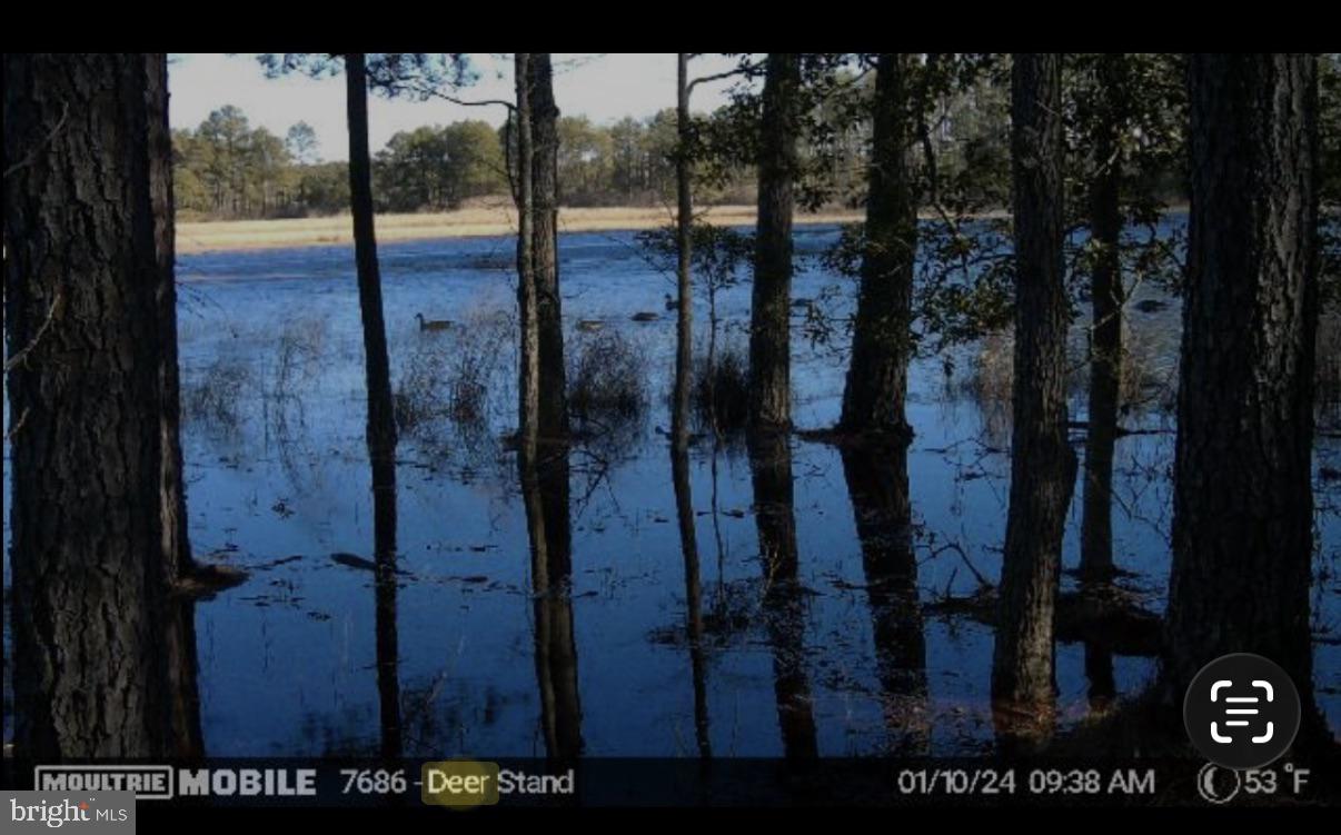 NONE AVAILABLE - Land