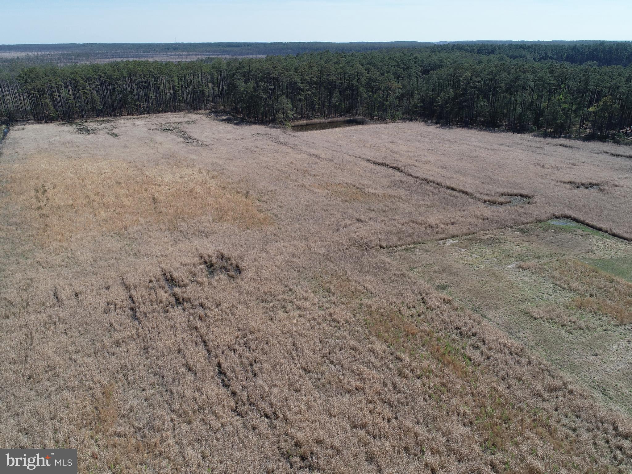 NONE AVAILABLE - Land