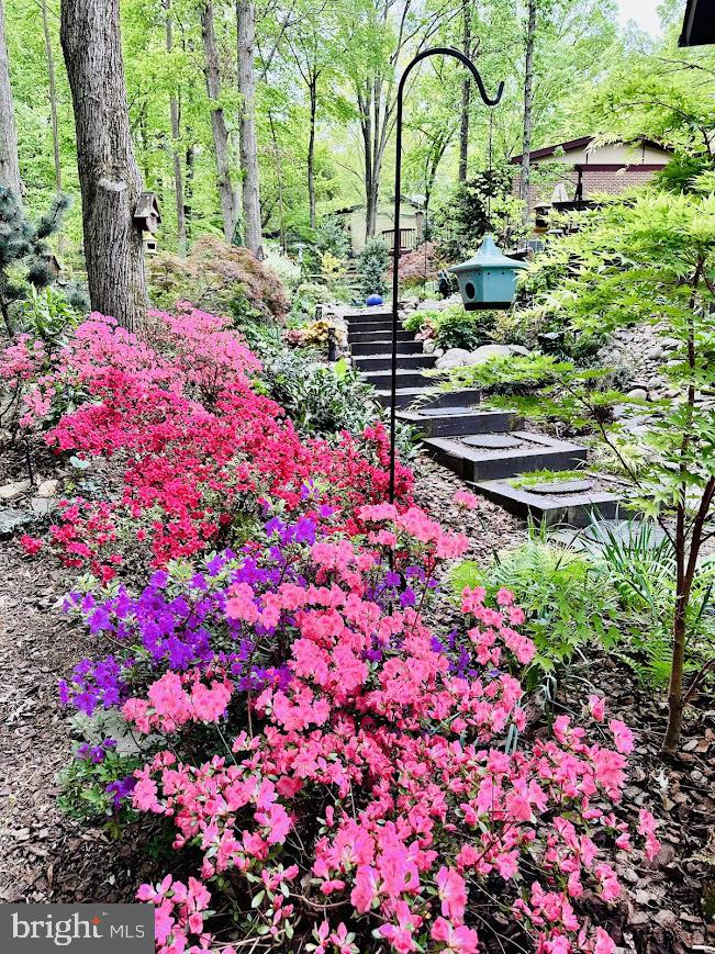 WESSYNTON - Residential