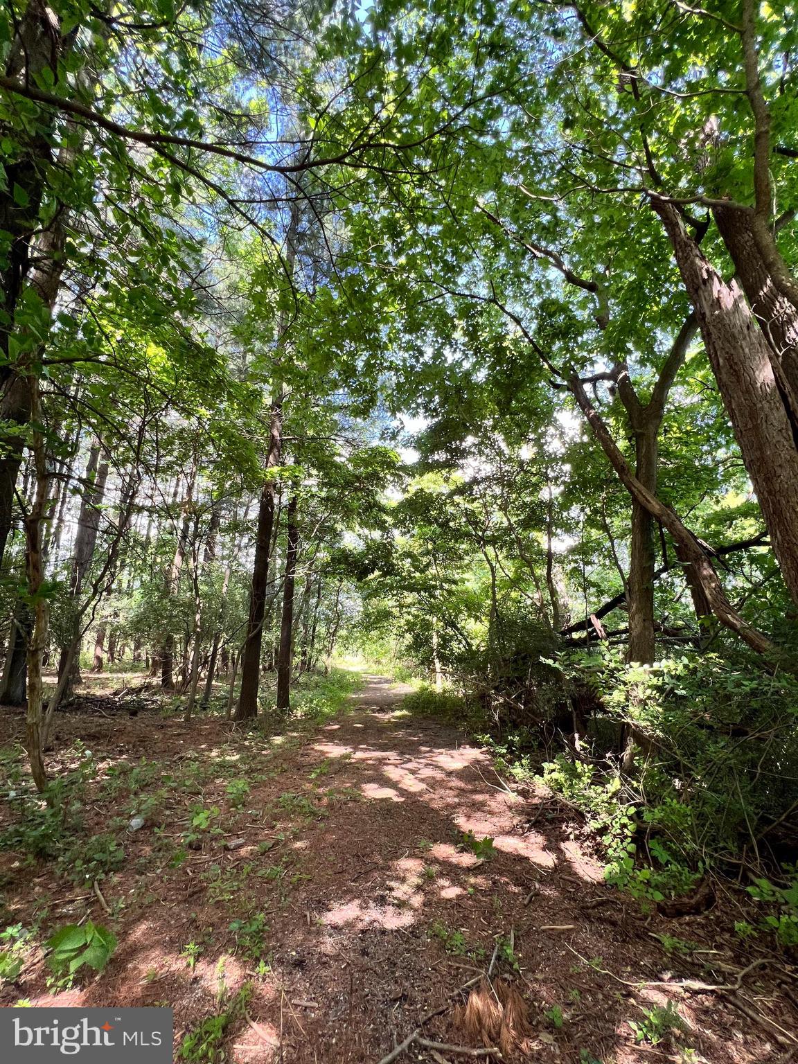 GLEN LEA - Residential