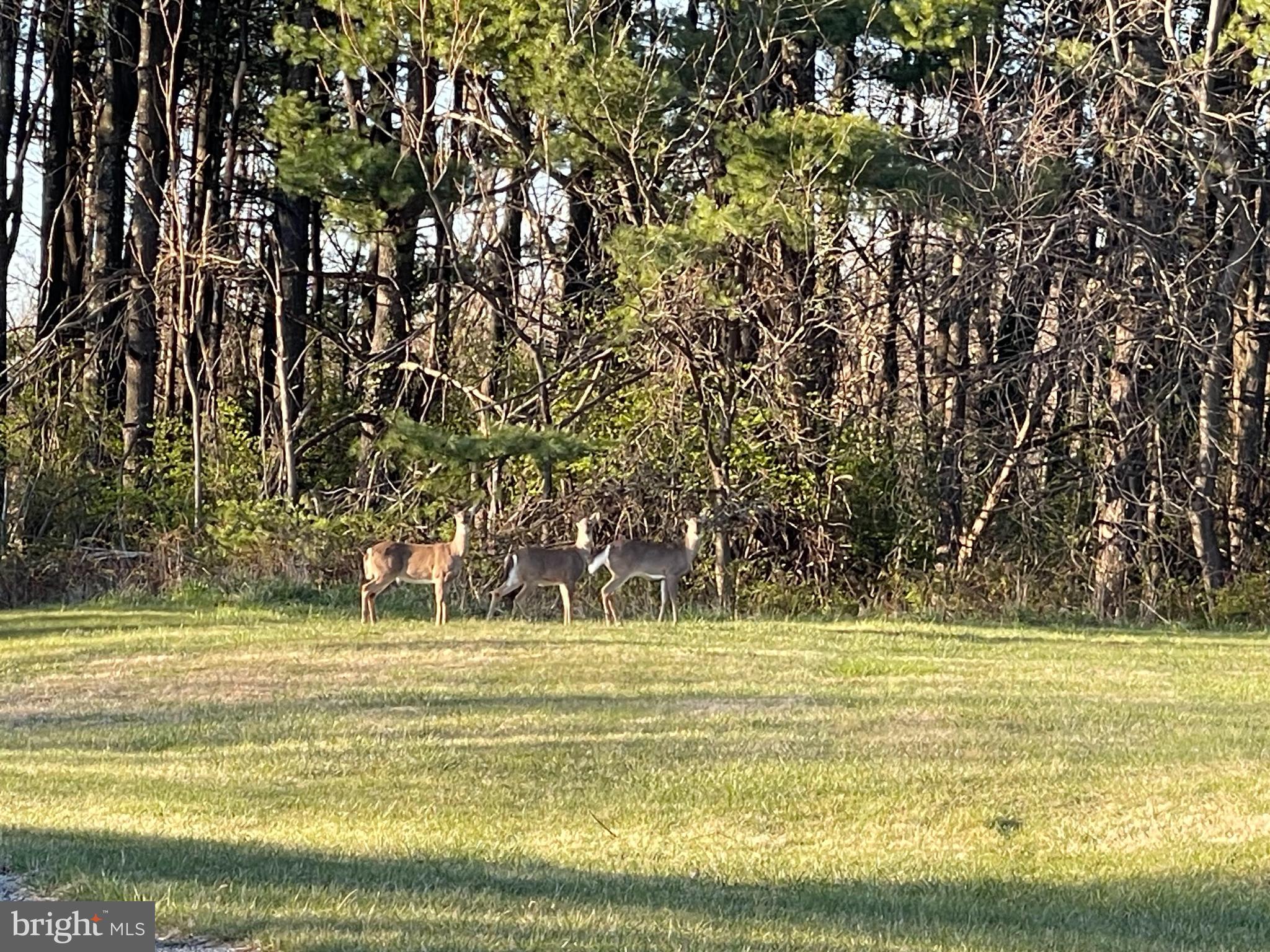 GLEN LEA - Residential