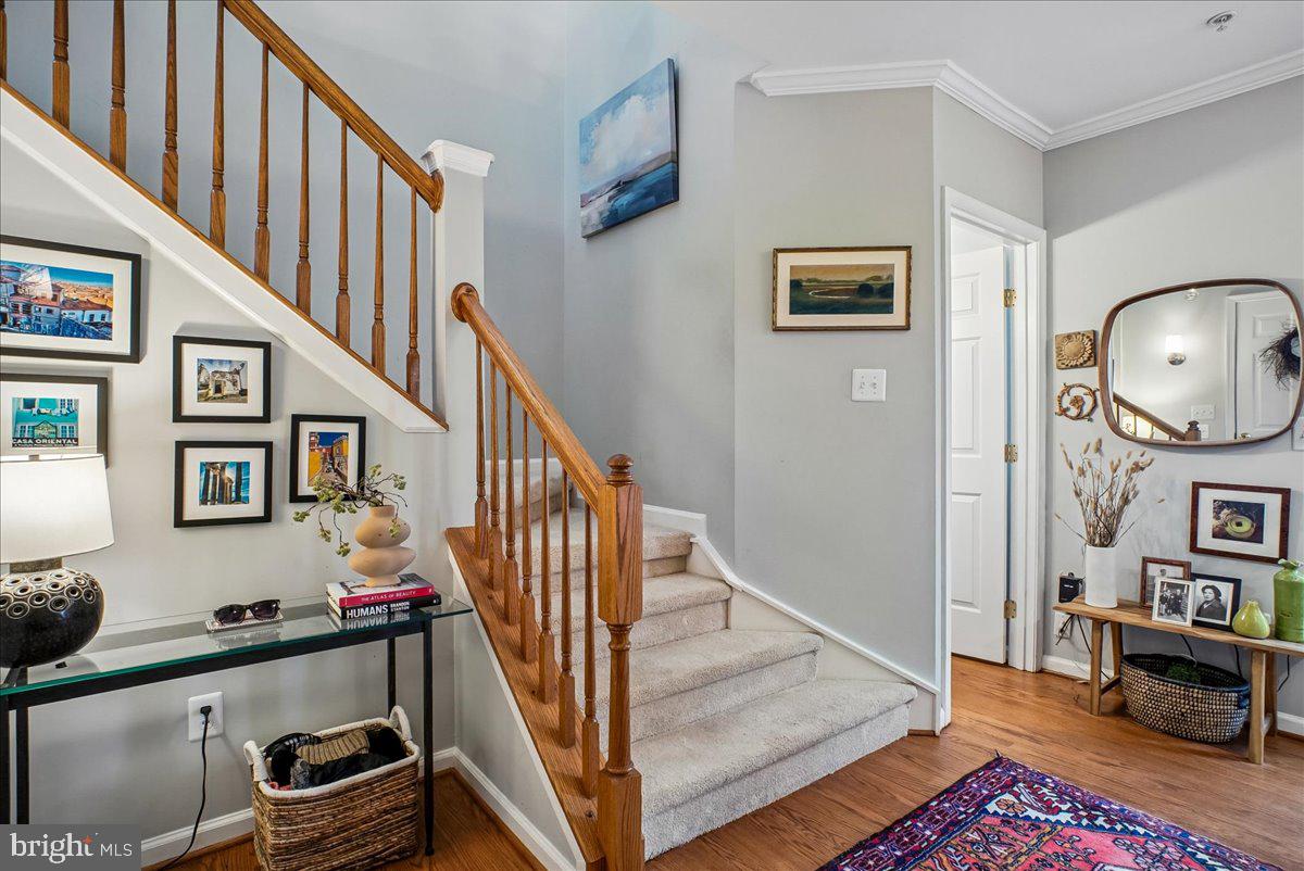 3683 MADISON VIEW LANE