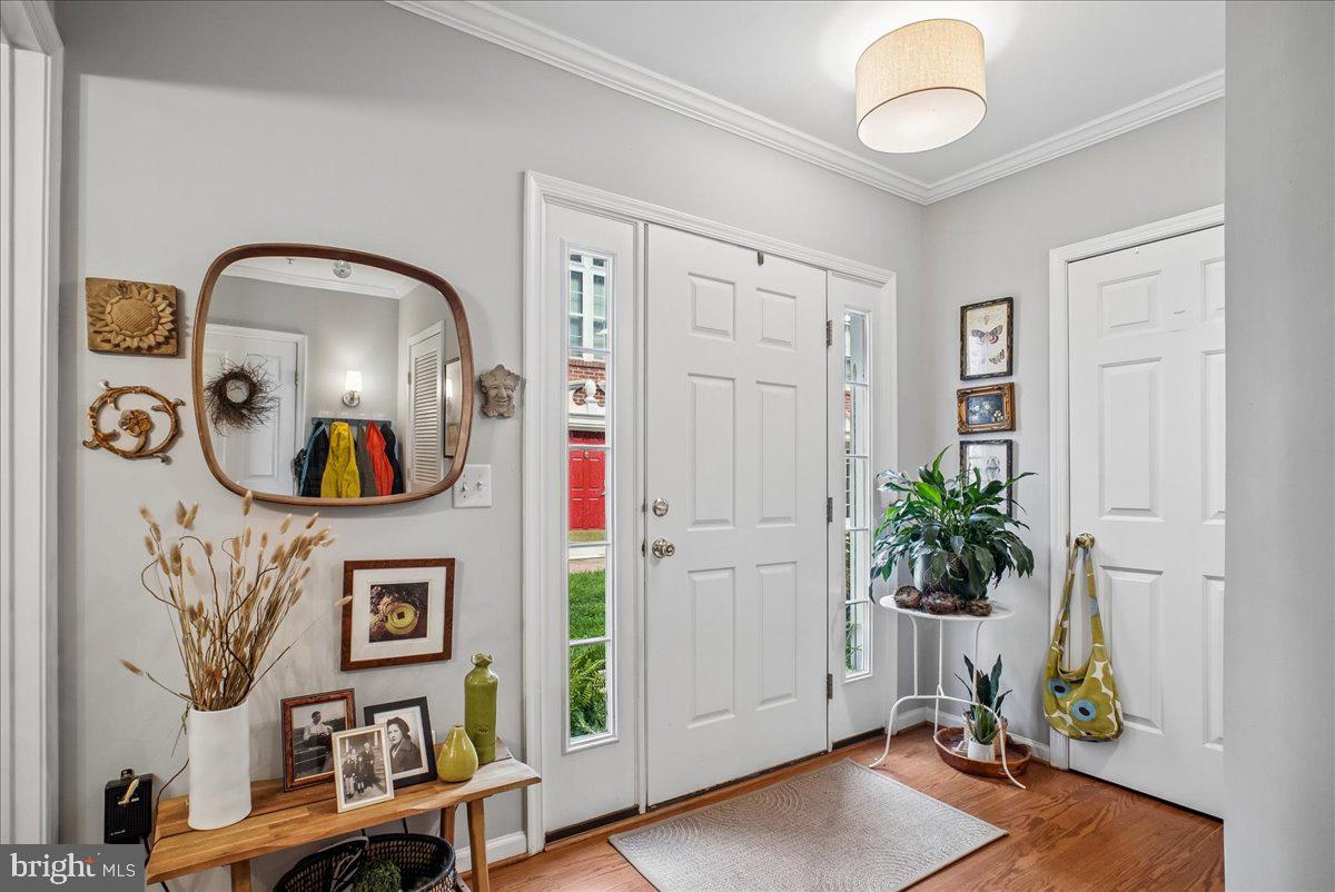 3683 MADISON VIEW LANE