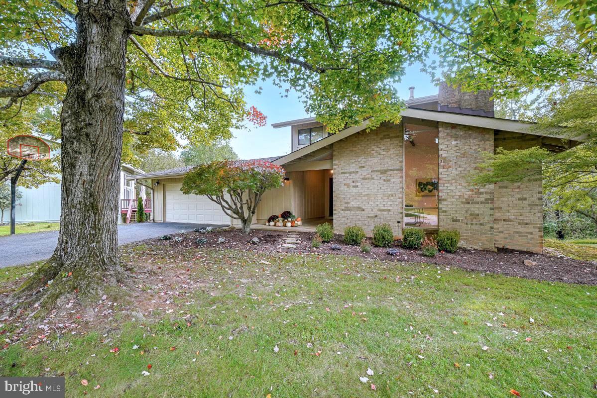 10104 GRAYHORSE COURT