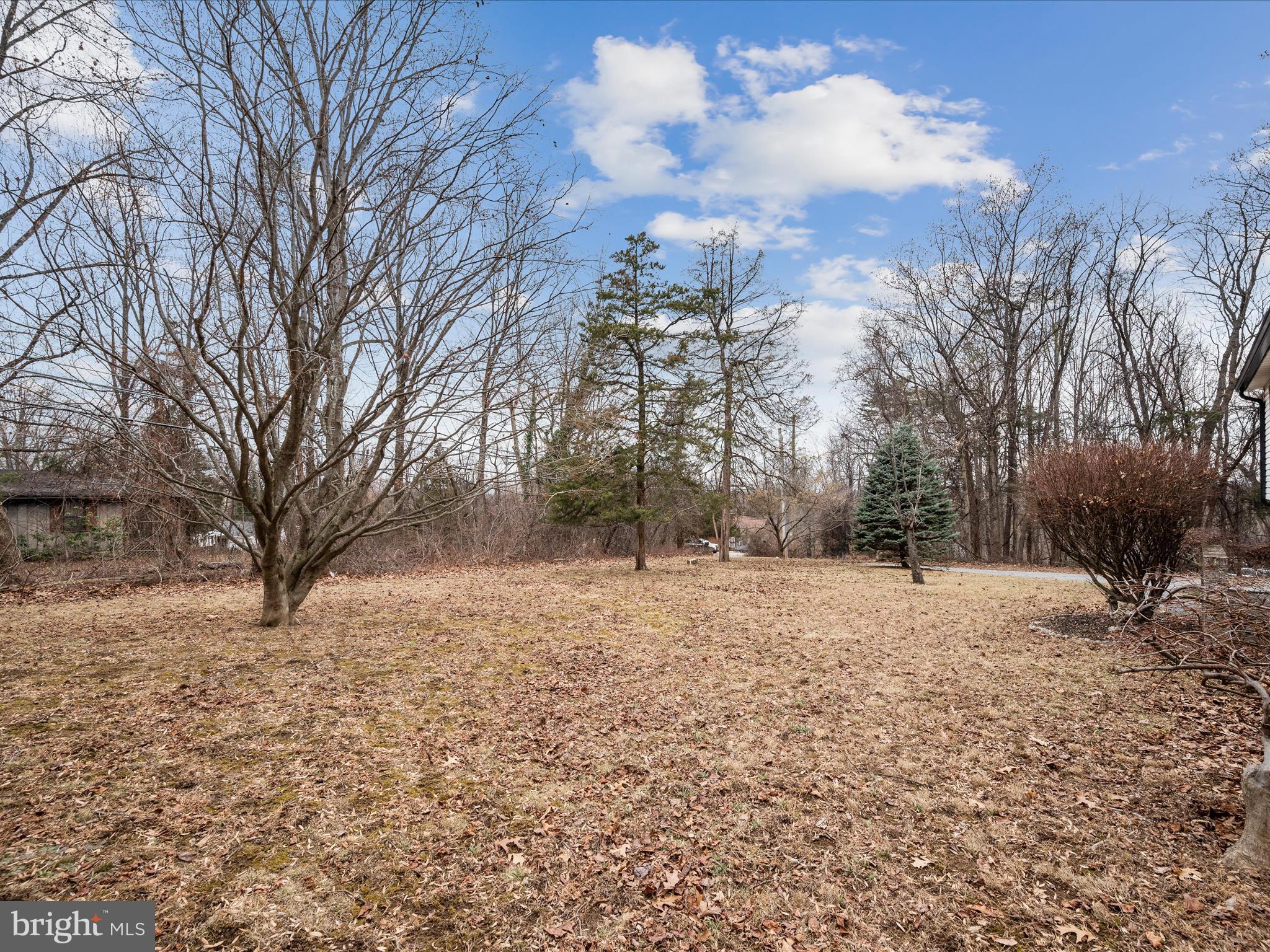 BLUE RIDGE ACRES - Residential