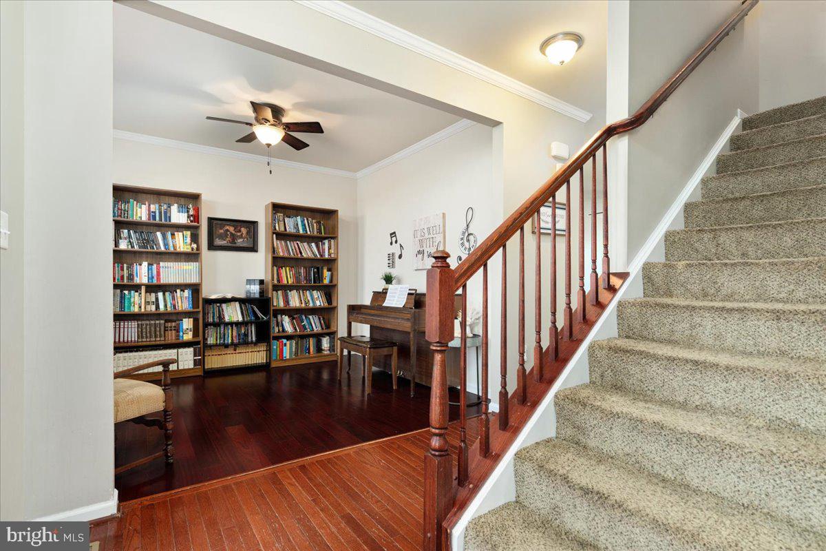 WILD ROSE - Residential