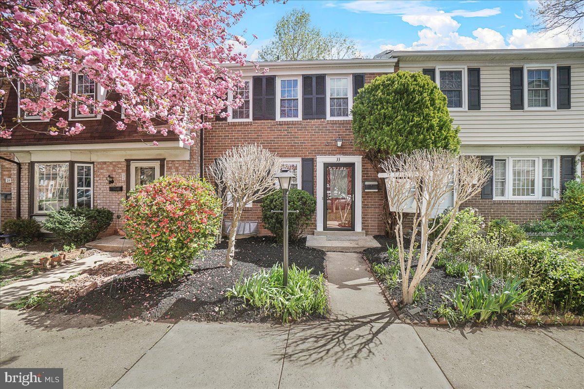 33 BIG ACRE SQUARE 20-8