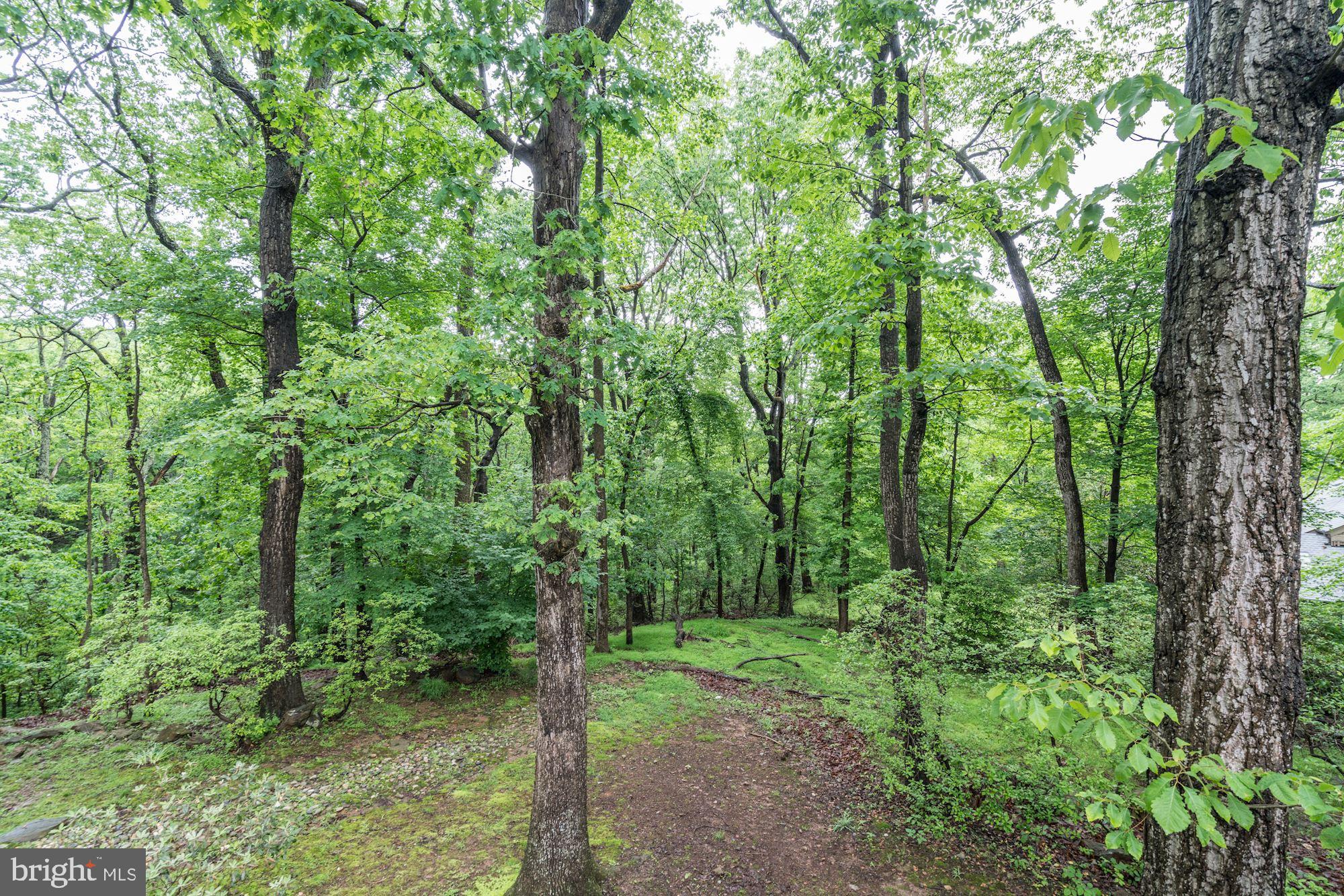 THE TRAILS - Residential