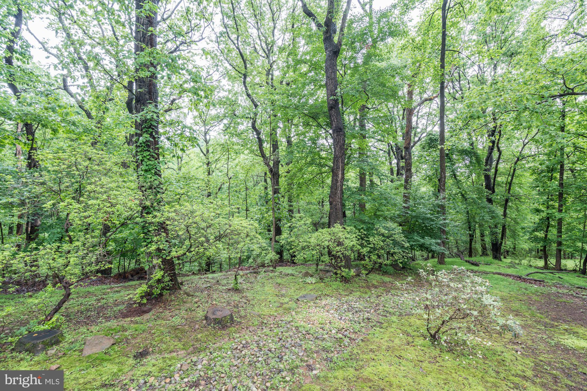 THE TRAILS - Residential