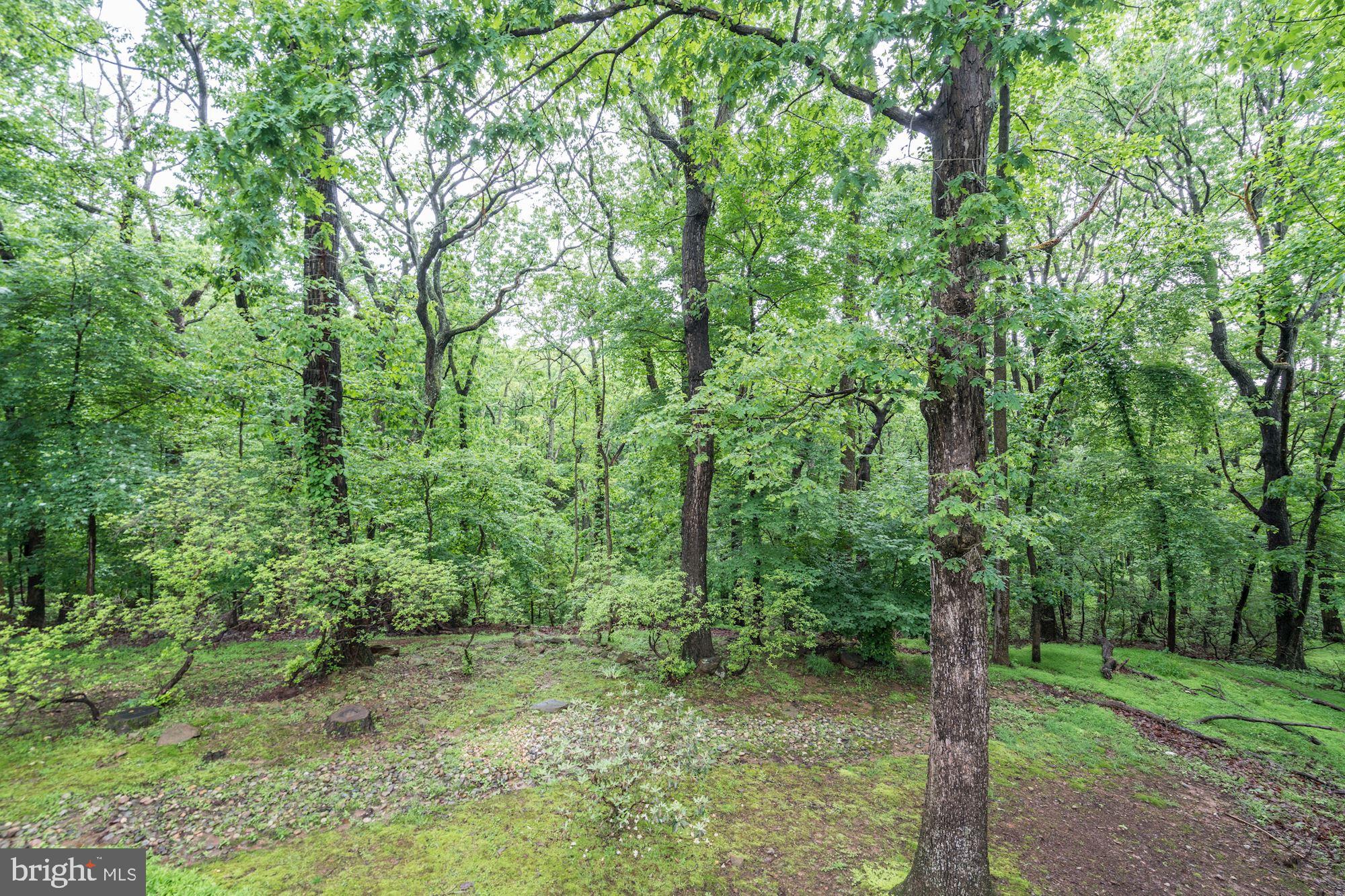 THE TRAILS - Residential