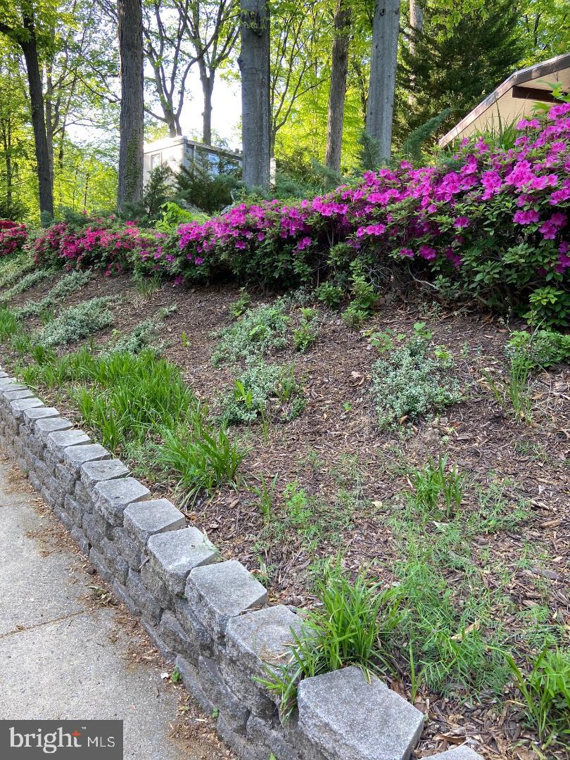 WOODLEY WOODS - Residential