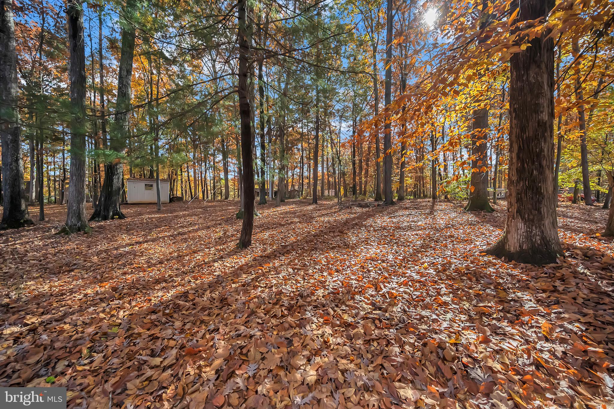 LAKE OF THE WOODS - Residential
