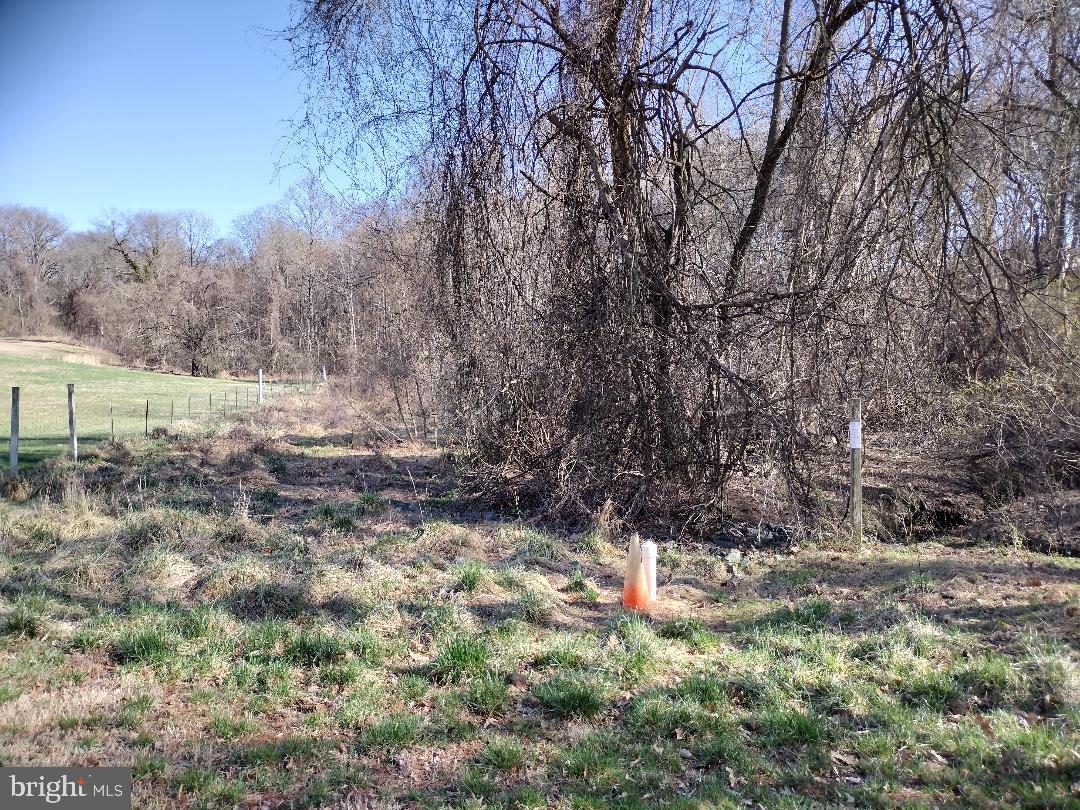 Land Near Broad Creek. 7.06 acre lot. You can build one house on this property because of the setback requirements and perc test. Do your own research at the county to confirm. This land is surrounded by luxury home subdivisions.