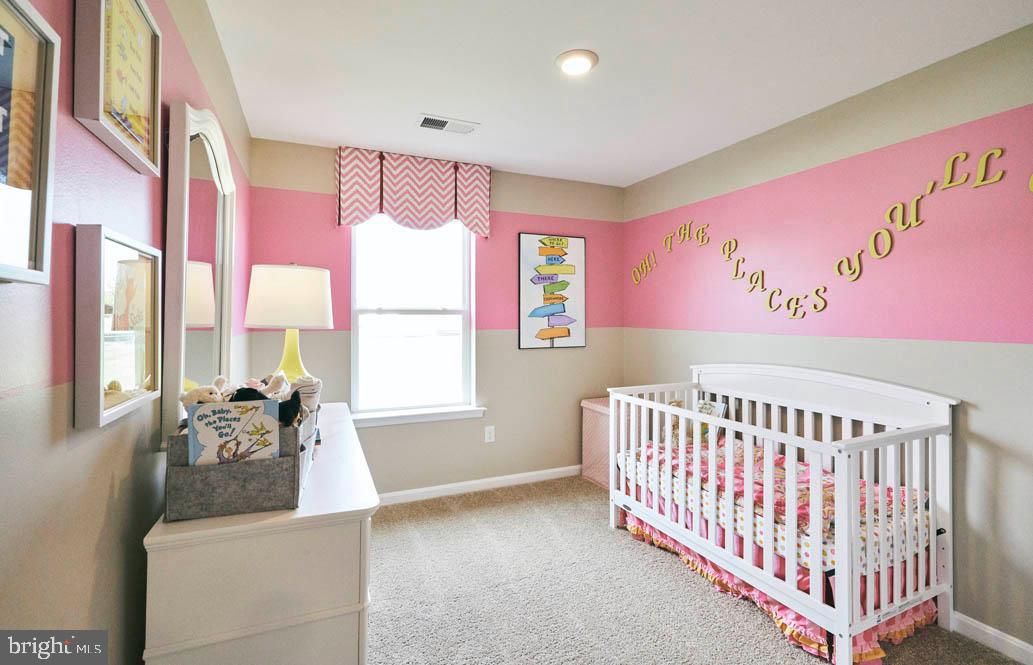 SASSAFRAS MEADOWS - Residential