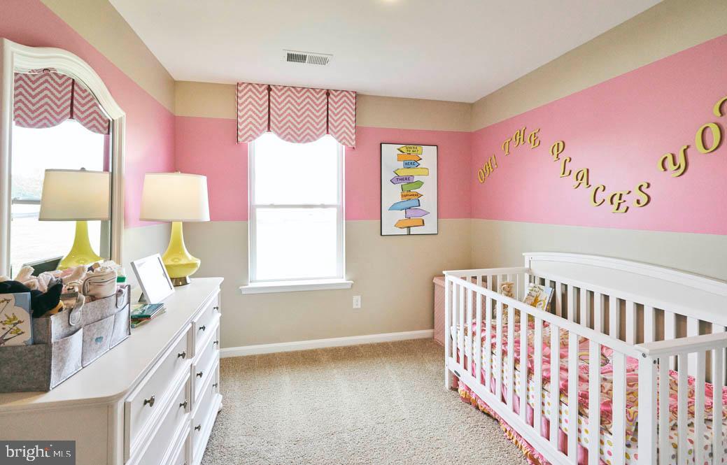 SASSAFRAS MEADOWS - Residential