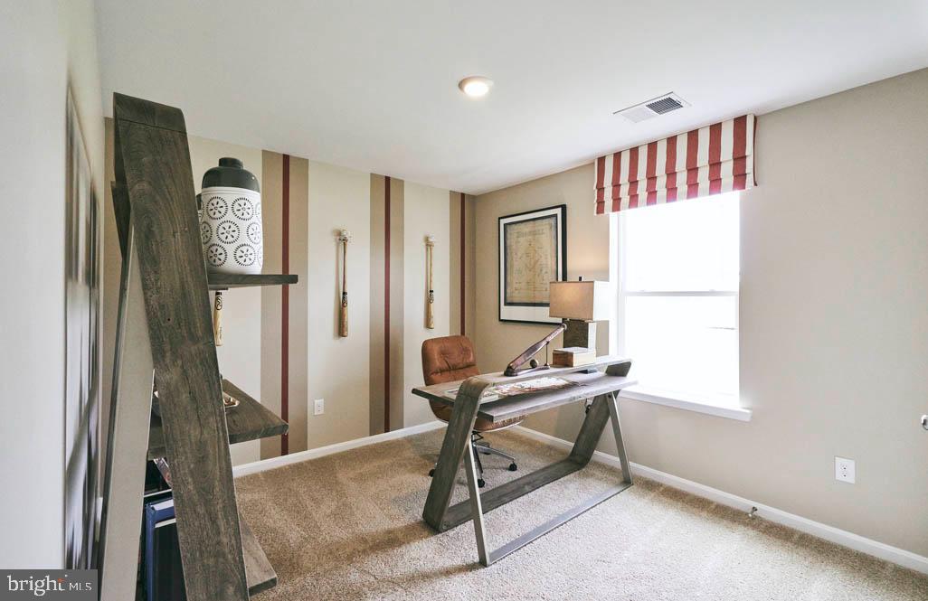 SASSAFRAS MEADOWS - Residential