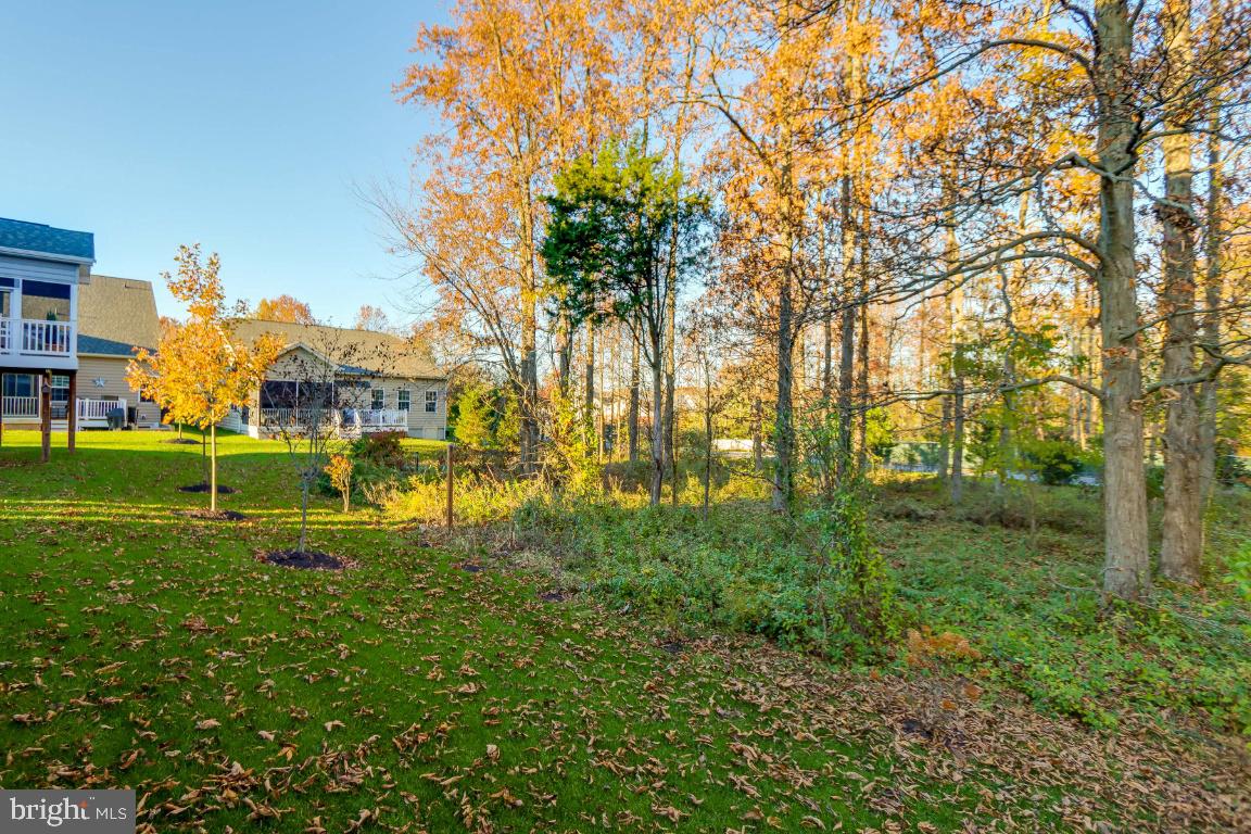 CARROLL VISTA - Residential