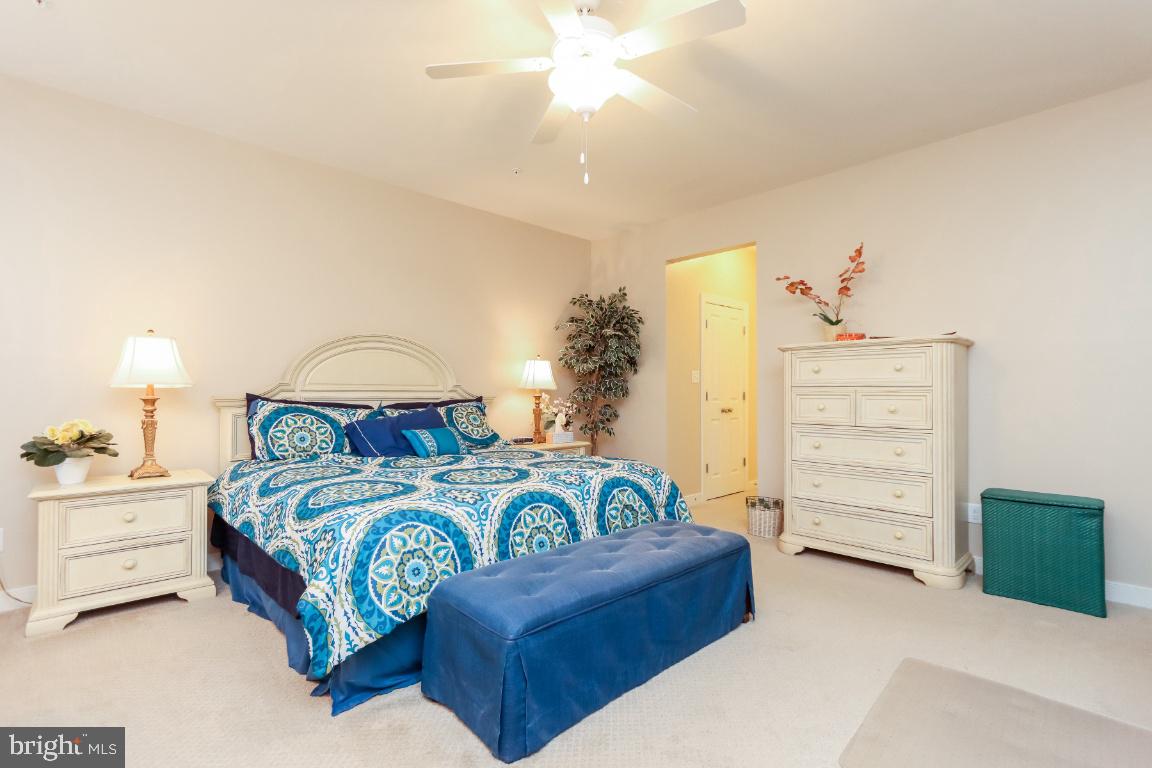 CARROLL VISTA - Residential