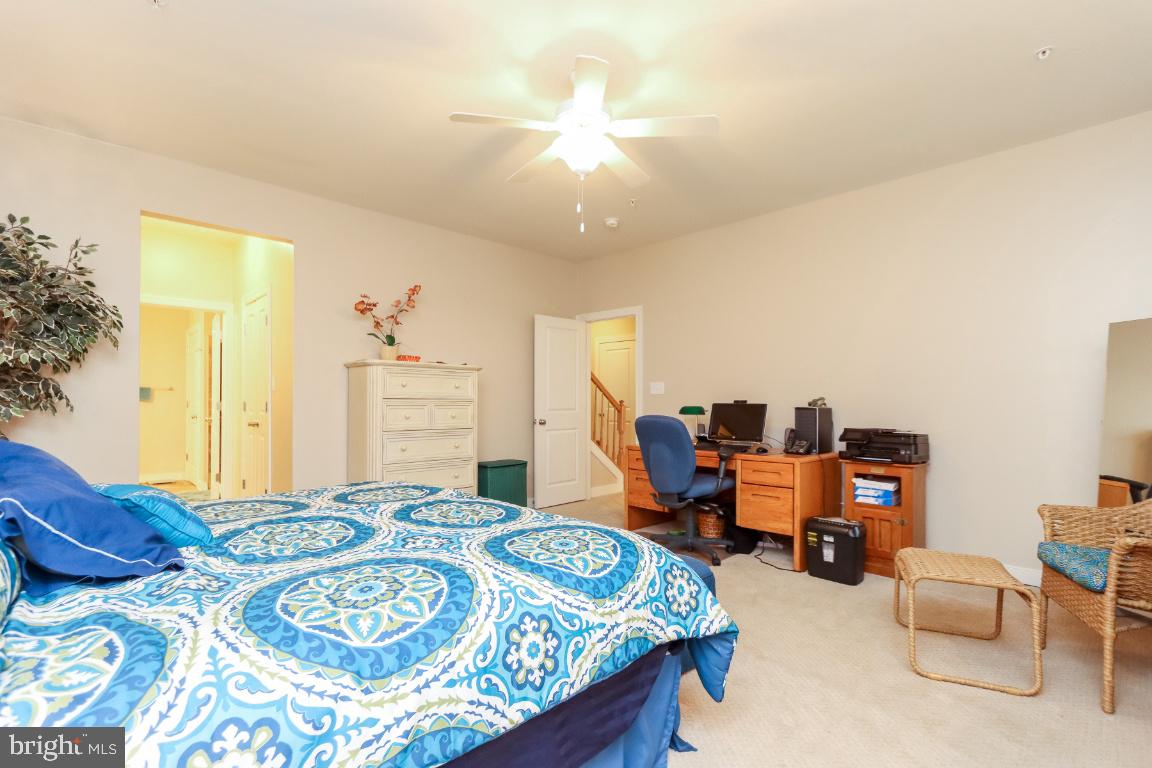 CARROLL VISTA - Residential