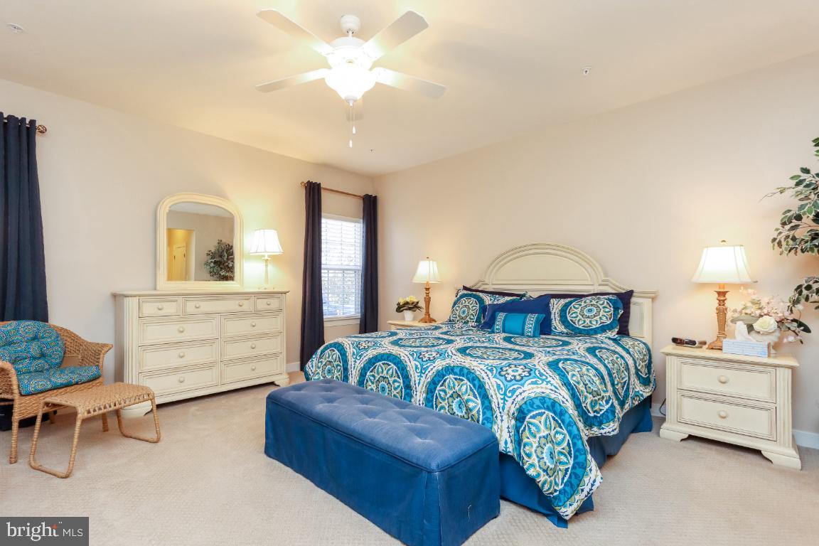 CARROLL VISTA - Residential