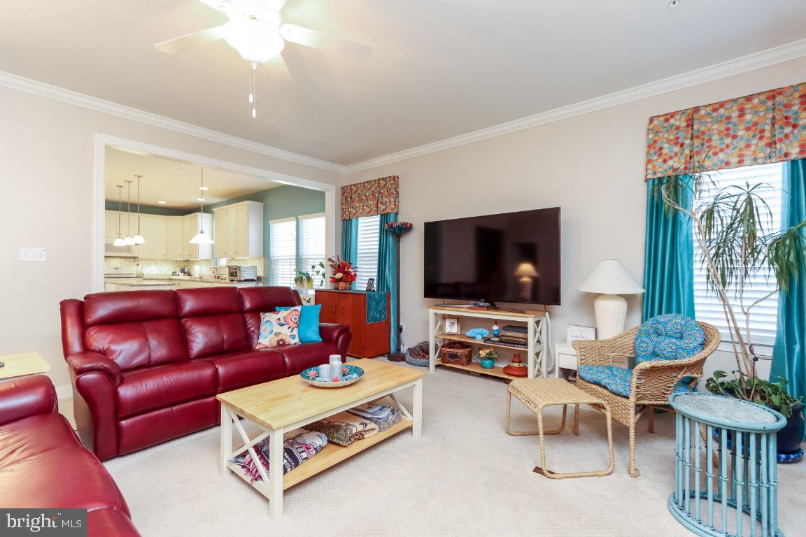 CARROLL VISTA - Residential