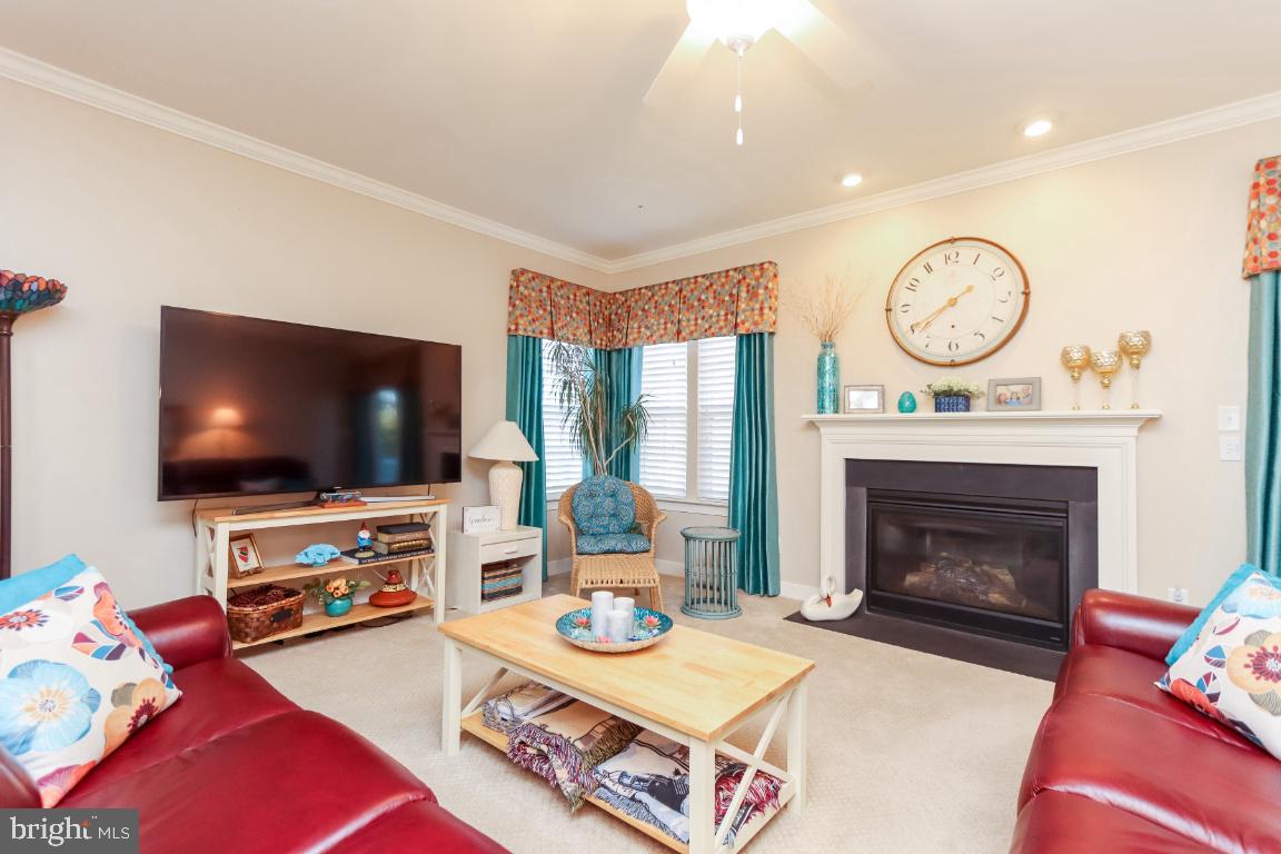 CARROLL VISTA - Residential