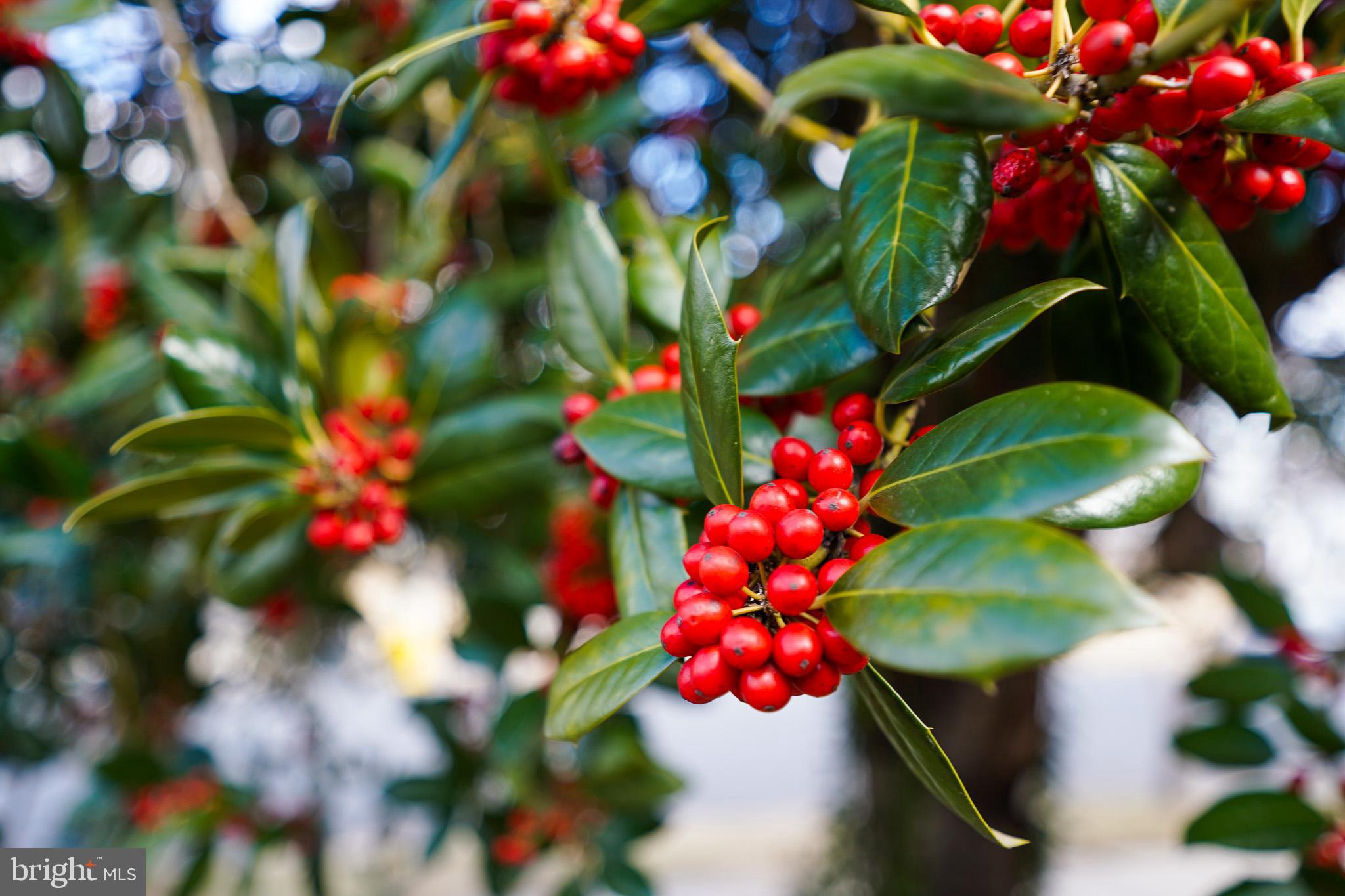 THE PROVINCES - Residential Lease