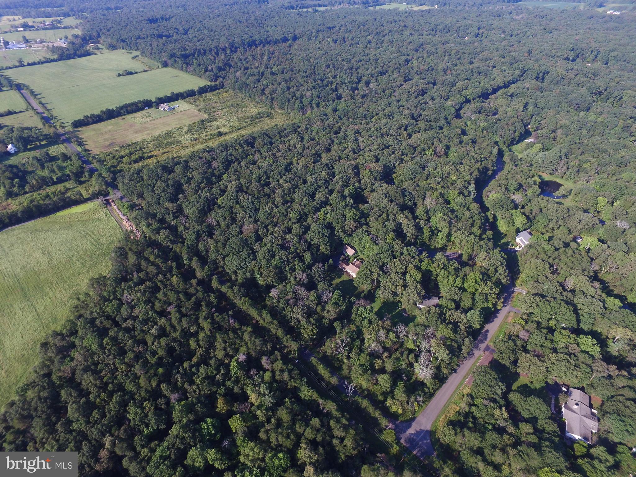 KETTLE RUN FOREST - Land