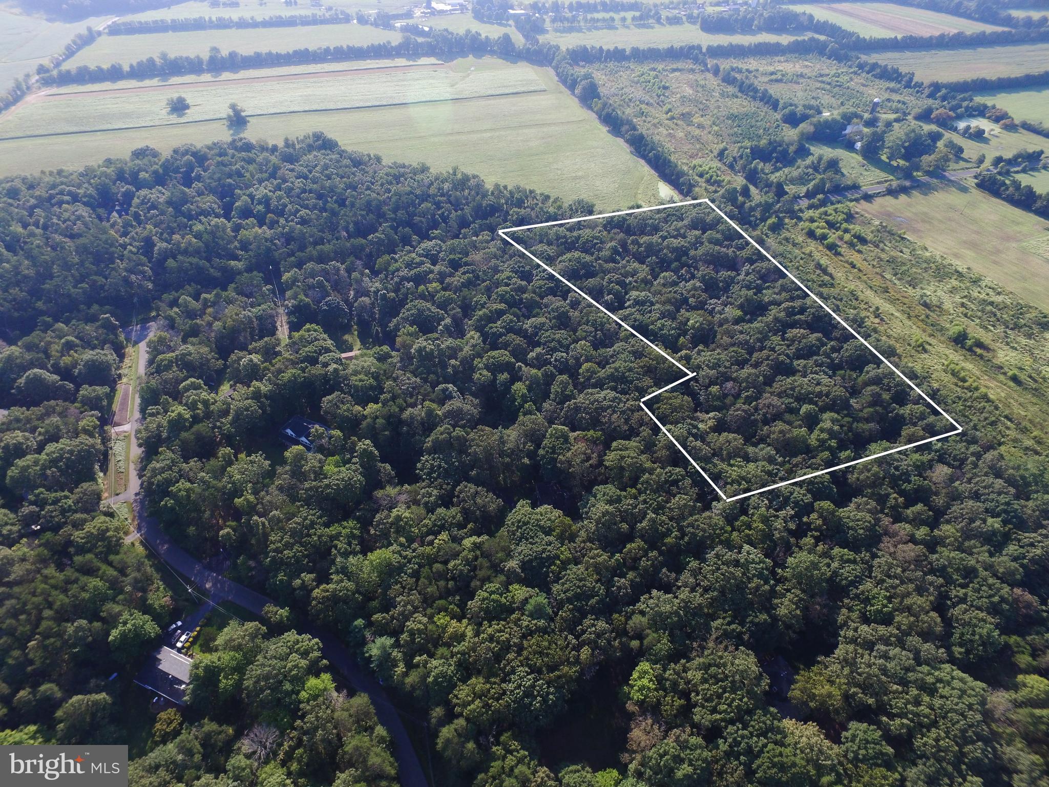 KETTLE RUN FOREST - Land