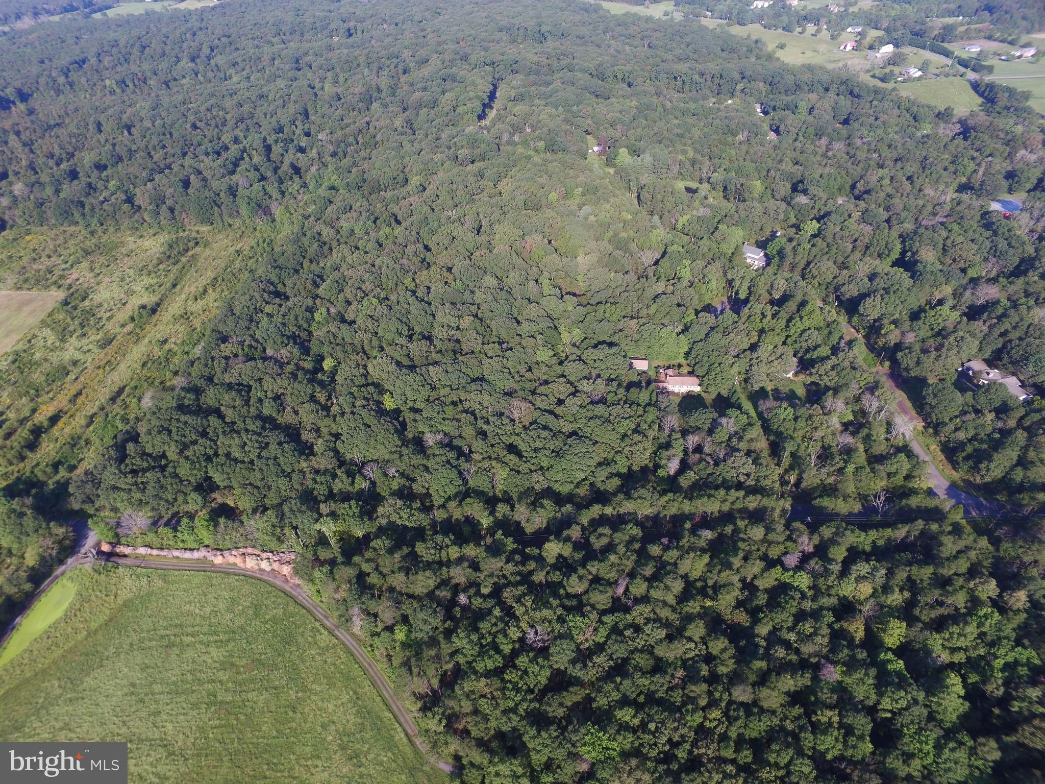 KETTLE RUN FOREST - Land