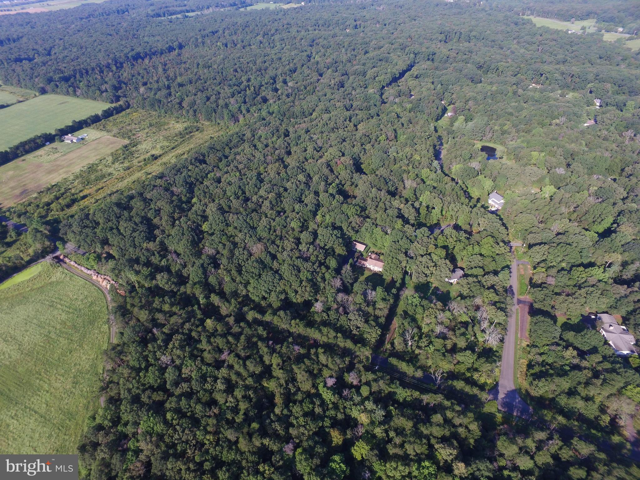 KETTLE RUN FOREST - Land