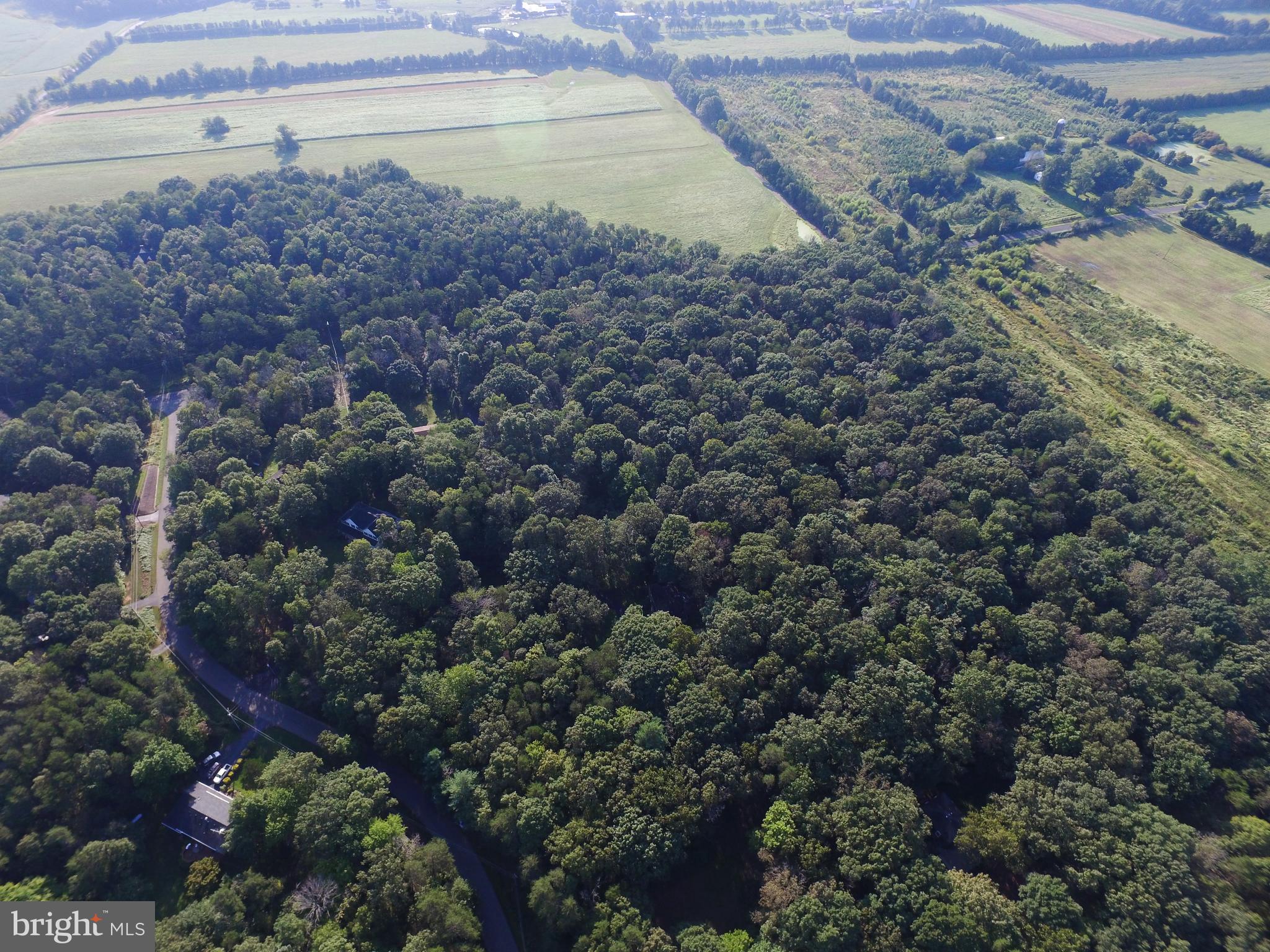 KETTLE RUN FOREST - Land