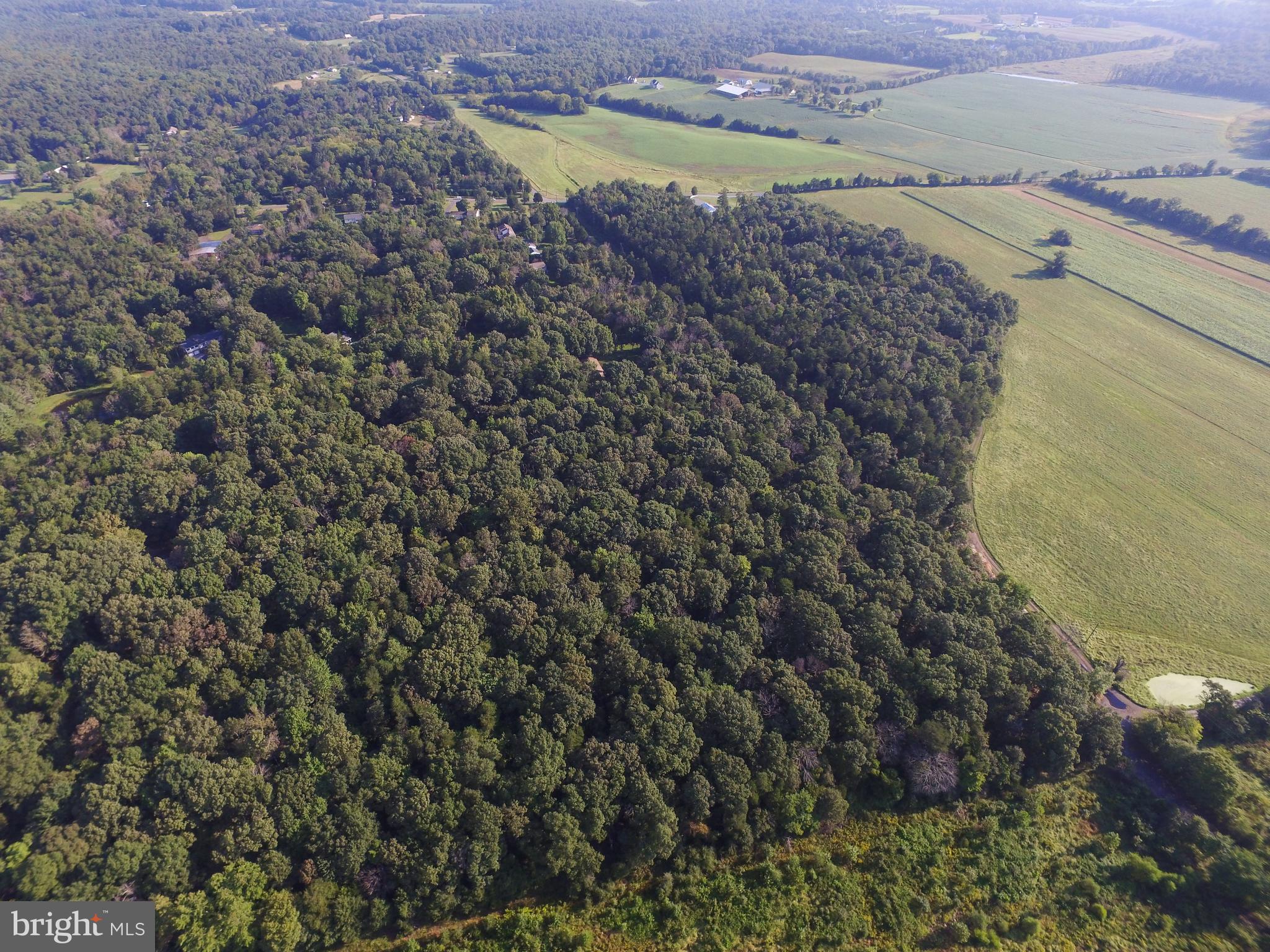 KETTLE RUN FOREST - Land