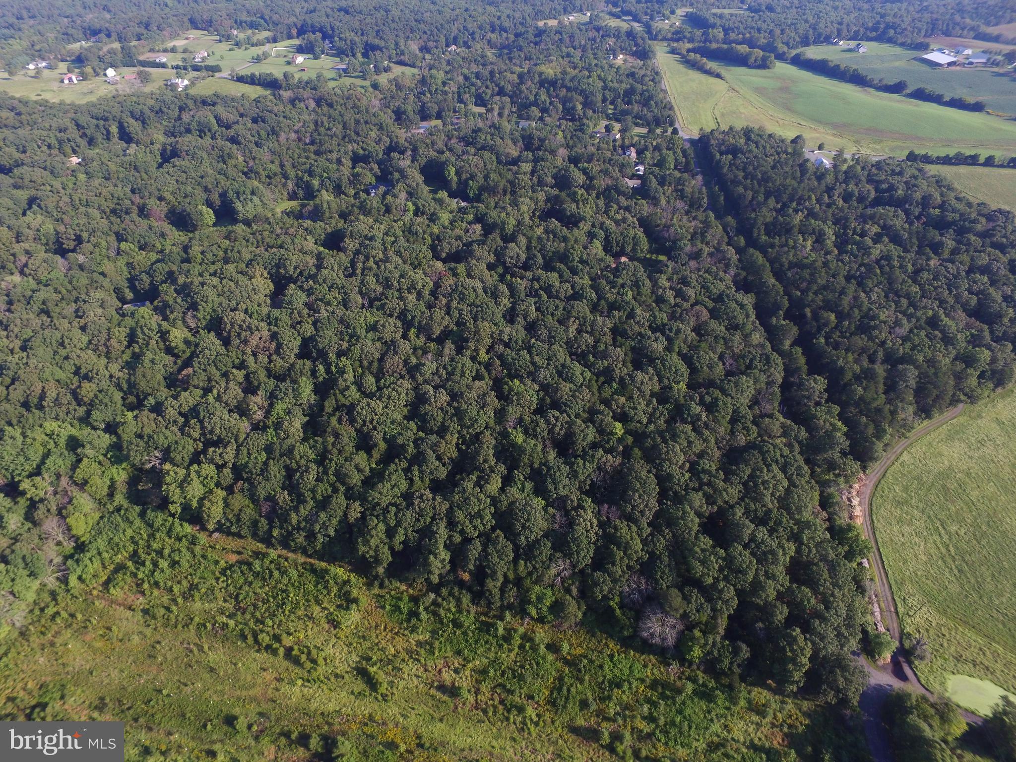 KETTLE RUN FOREST - Land