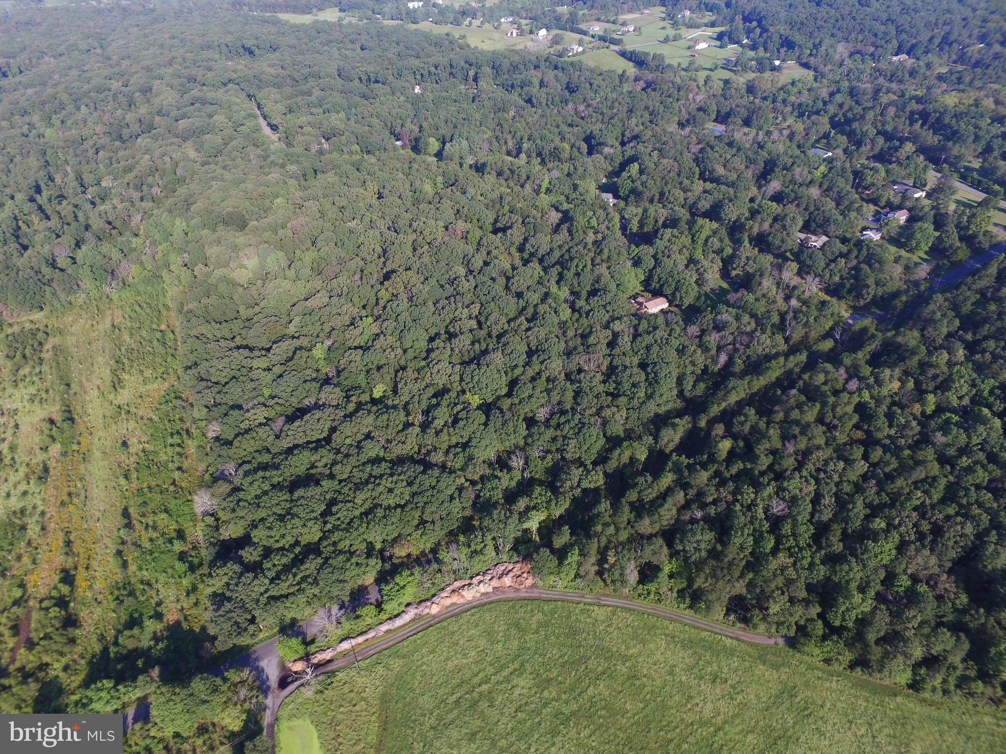 KETTLE RUN FOREST - Land