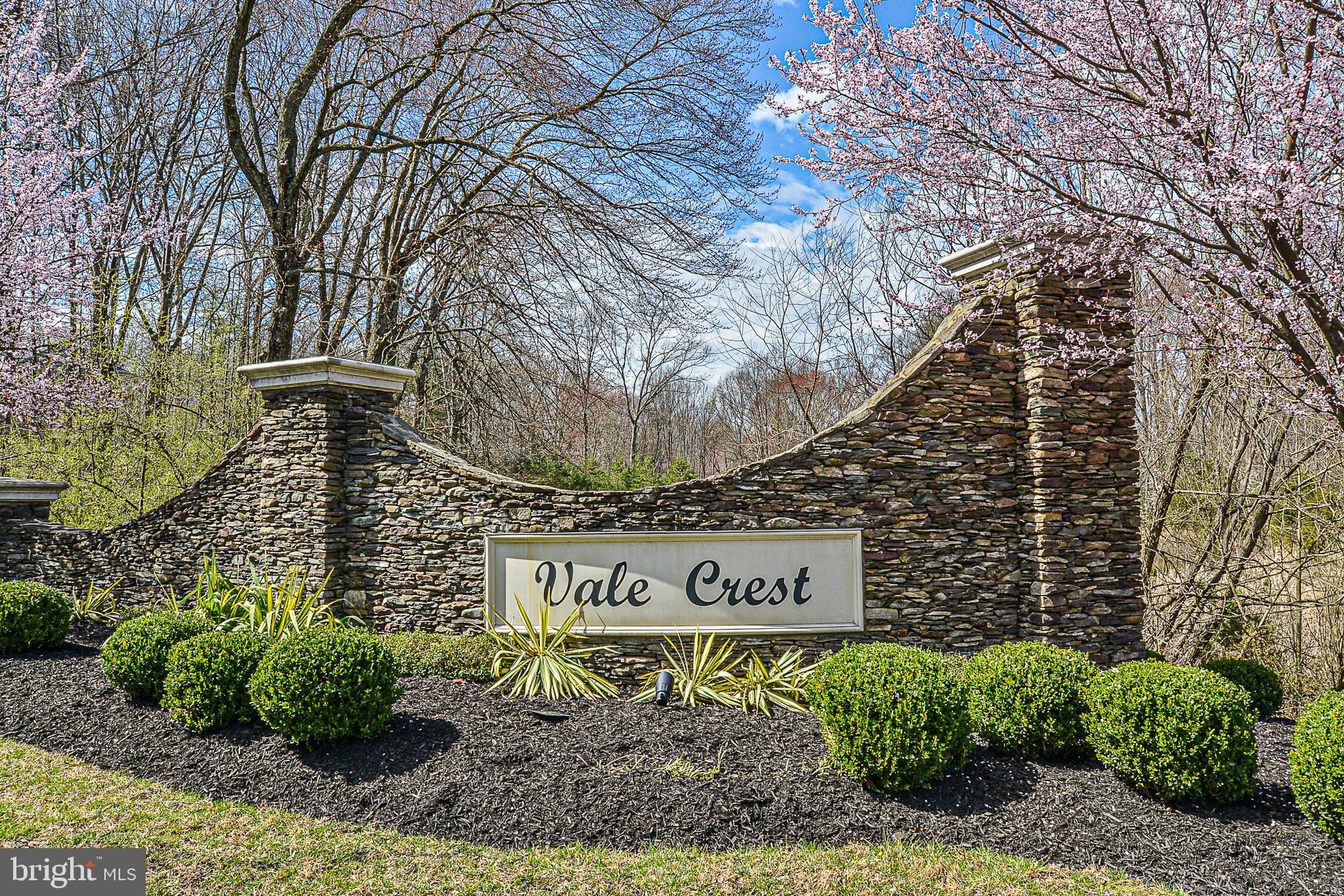 BLACKSTONE AT VALE RIDGE - Residential