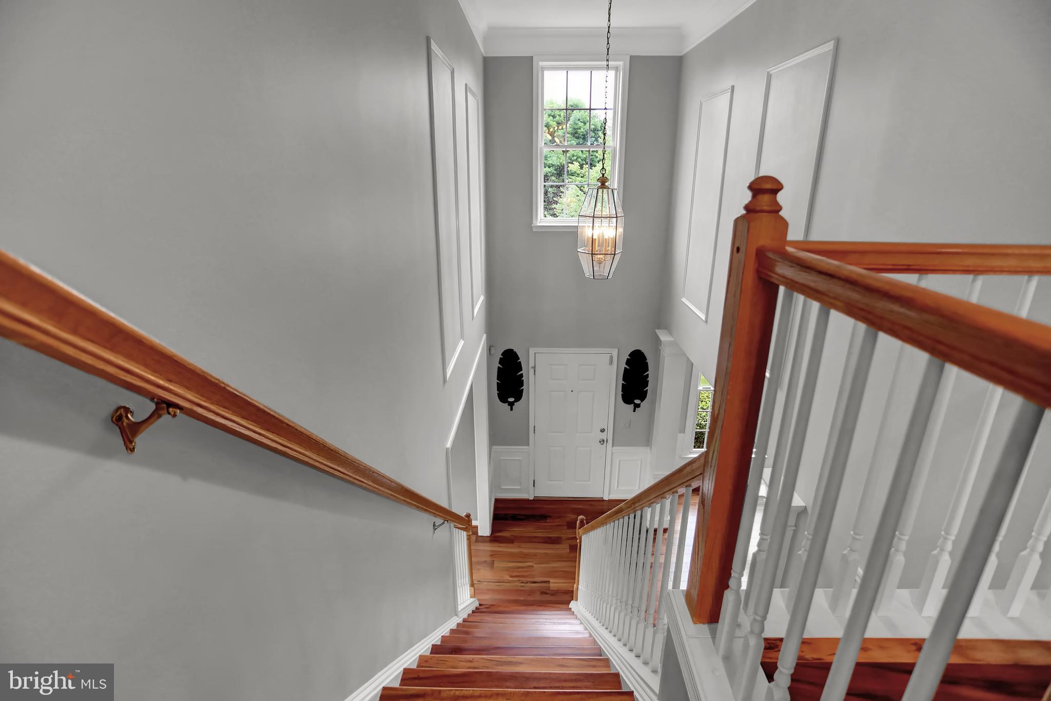 CATTAIL WOODS - Residential