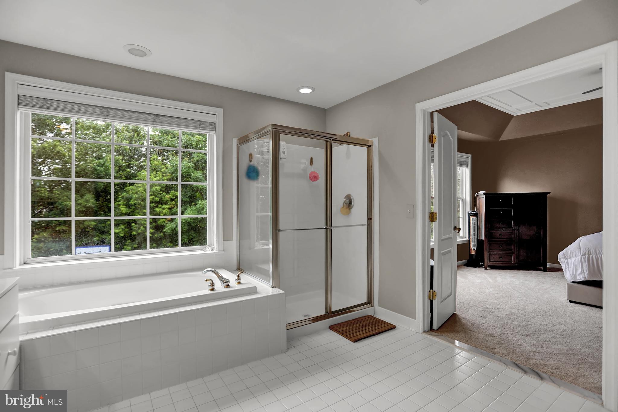 CATTAIL WOODS - Residential